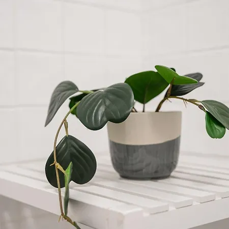 Guestready - A Warm Refuge In Cedofeita Apartament