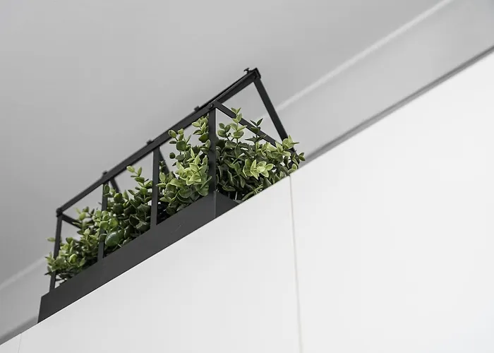 Guestready - A Warm Refuge In Cedofeita Apartment