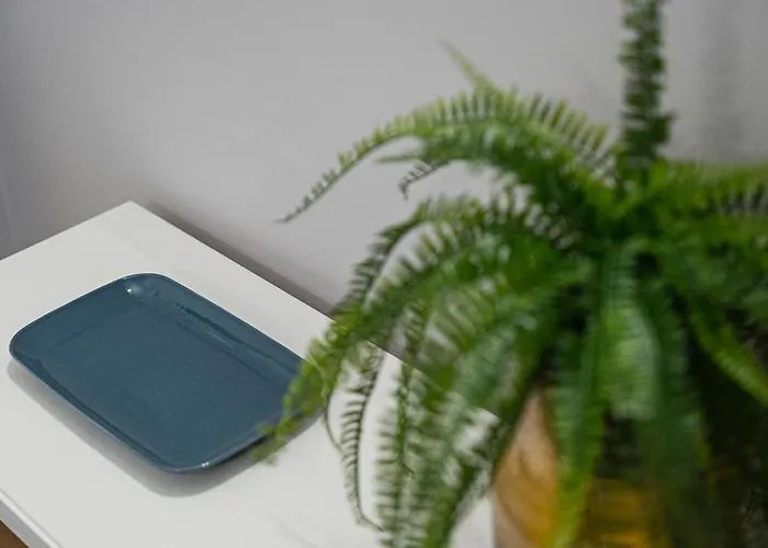 Guestready - A Warm Refuge In Cedofeita