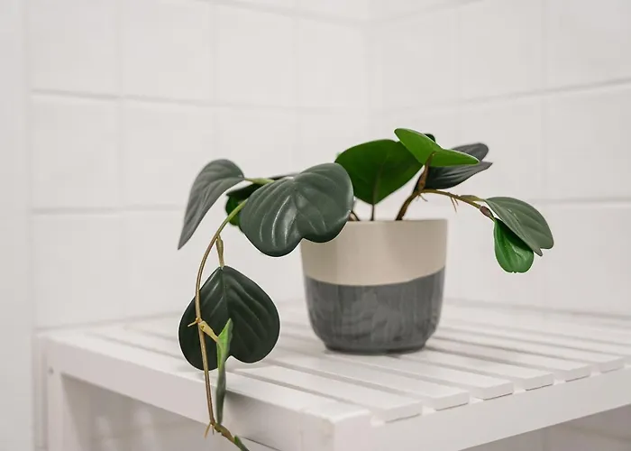 Guestready - A Warm Refuge In Cedofeita Apartment